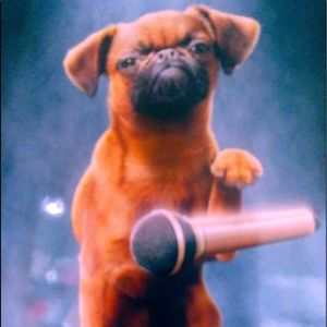 Meet your Posher, Kim